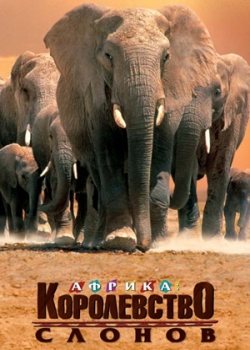 Африка – королевство слонов (2003)
