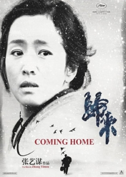 Возвращение домой (2014)